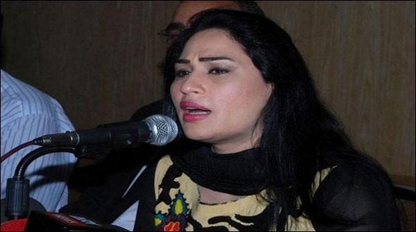 بچے کی حوالگی کا معاملہ ،حمیرا ارشد کی عدالت میں پیشی