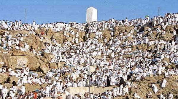 عازمین نے حج کا رکن اعظم وقوف عرفہ ادا کیا