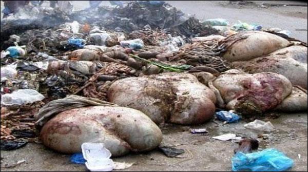 آلائشیں گٹر لائنوں میں نہ ڈالی جائیں،ایم ڈی واٹر بورڈ