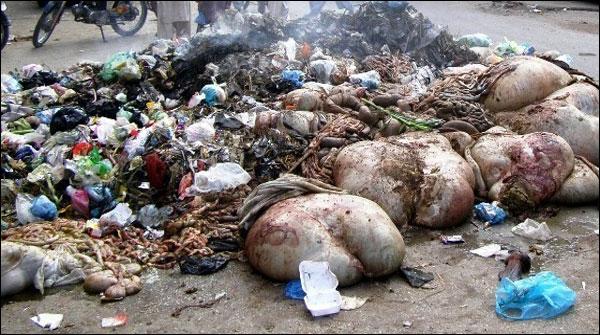 کراچی کے بعض علاقوں میں آلائشوں کے ڈھیر، شہری پریشان