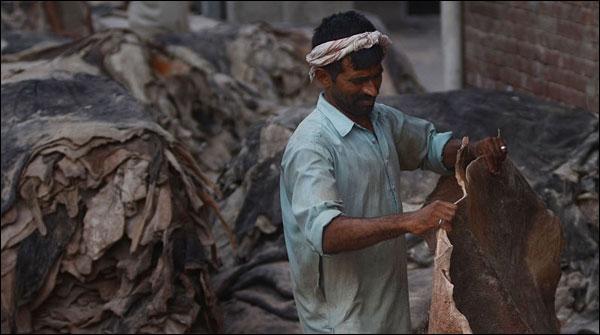 لاہور: غیر قانونی کھالیں جمع کرنے پر 27 افراد زیرحراست