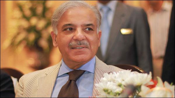 دھرنے والے سنبھلتی معیشت کو کمزور کرنا چاہتے ہیں،شہبازشریف