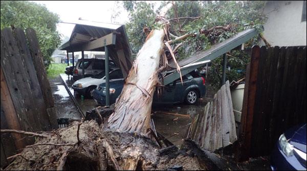 کیلیفورنیا میں شدید طوفان: 4 افراد ہلاک، 300 پروازیں منسوخ