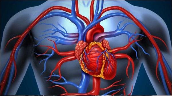 پاکستان میں دل کے امراض میں خطرناک حد تک اضافہ
