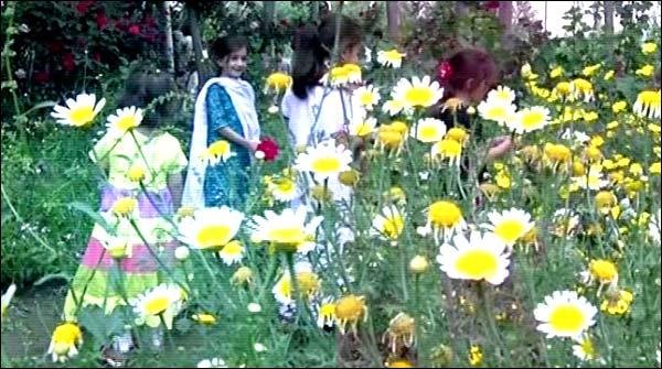 سوات:پھولوں کے شوقین باغبان کا کارنامہ