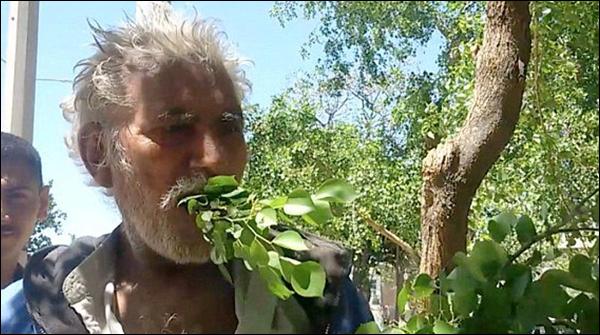 گوجرانوالا میں درختوں کے پتے اور لکڑیاں کھانے والا بابا