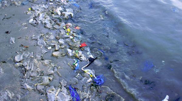 ایشیائی ممالک کا سمندروں کو پلاسٹک سے پاک کرنے کا عزم