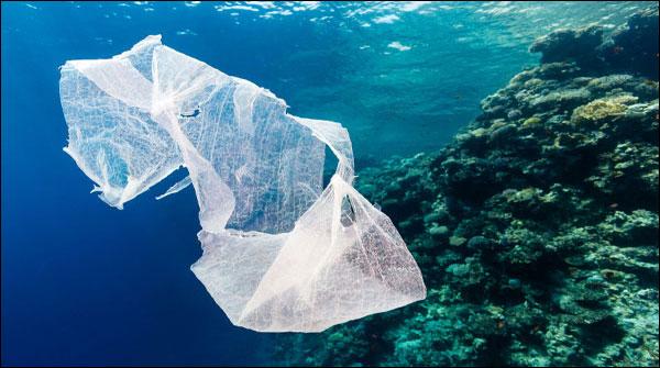 پلاسٹک سمندری آبی حیات کیلئےخطرہ ہے، ڈبلیو ڈبلیو ایف