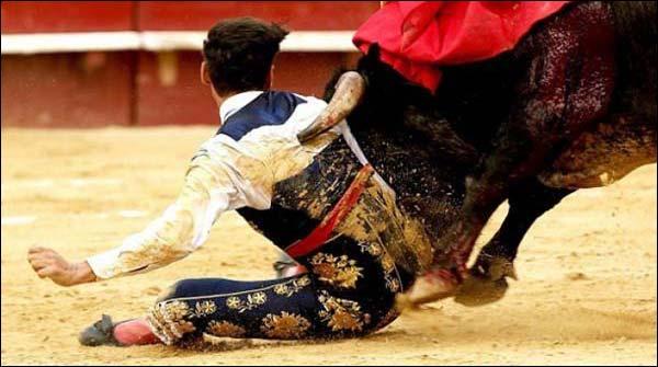 اسپین :ـ بْل فائٹنگ کے دوران بیل بپھر گیا، میٹاڈور زخمی