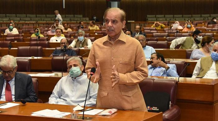 Highway rape case: Shahbaz Sharif apologizes for her statement