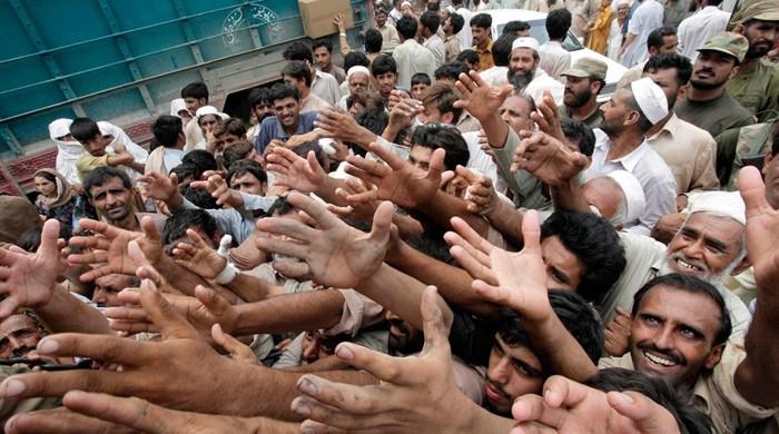 سَرو اور گھاس