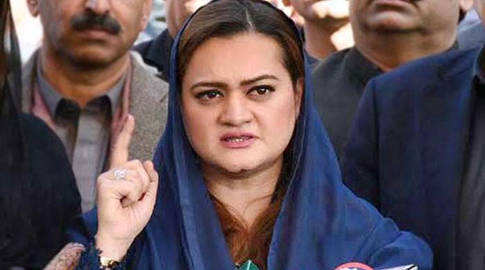 ’آئین توڑنے والے آمروں اور سلیکٹڈ ٹولے کی کرپشن کی سزا قوم بھگت رہی ہے‘