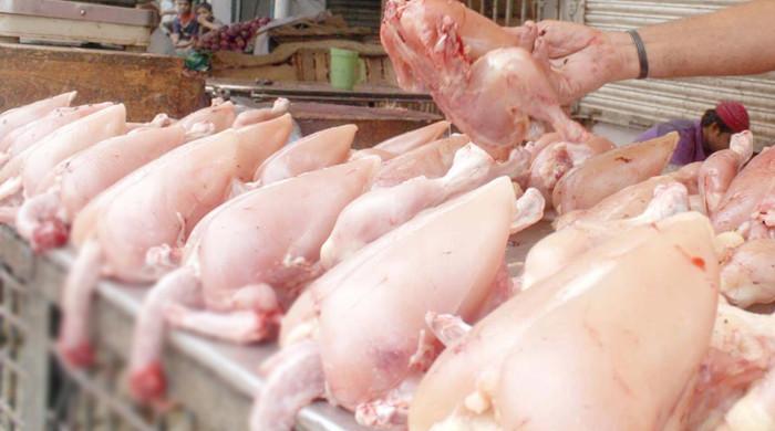 رمضان کے بعد عید بھی گزرگئی لیکن مرغی کےگوشت کی قیمتیں نیچے نہ آئیں