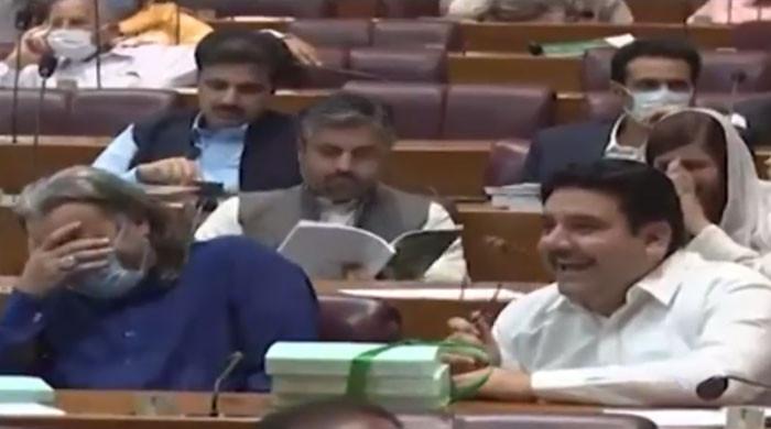 بجٹ اجلاس میں اپوزيشن پر نازیبا جملے کستے حکومتی رکن کی ویڈيو وائرل