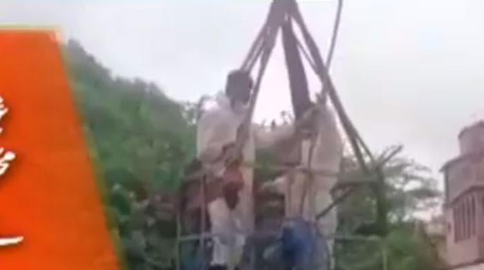 کنویں میں 10 ماہ سے پھنسے کتے اور 2 بلیوں کو بچالیا گیا