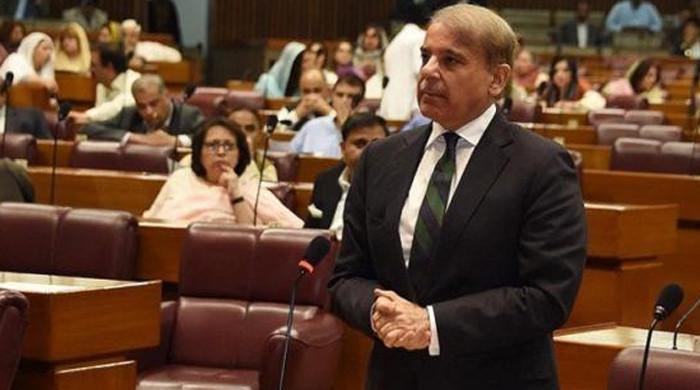 شہباز شریف نے بجٹ میں حکومتی اعداد و شمار جعلی قرار دیدیے