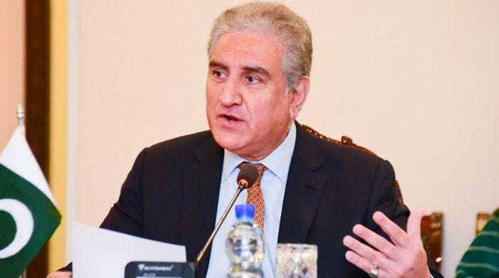 فیٹف ٹیکنیکل فورم ہے تو ہمیں وائٹ لسٹ میں ہونا چاہیے تھا، وزیر خارجہ