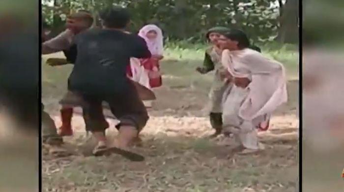 ساہیوال میں درختوں کی کٹائی پر جھگڑا، پولیس اہلکار کا لڑکی پر تشدد