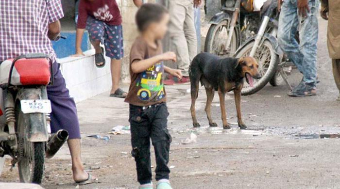 لاہور :کتے کے کاٹنے سے 6 سالہ بچہ جاں بحق