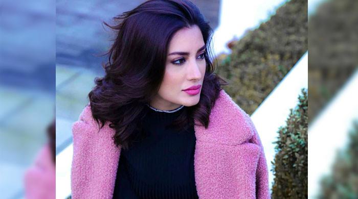 وزیراعظم بننے کی خواہش اور عمران خان سے موازنے پر مہوش حیات پر تنقید