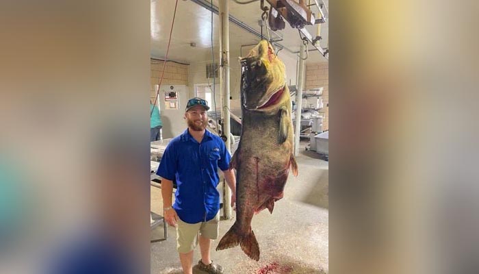 مچھلی کے شکار کے بعد اتنی بڑی مچھلی ہاتھ آنے کا یقین نہیں آرہا تھا: ماہی گیر/ فوٹو سوشل میڈیا