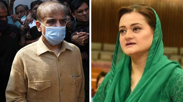 شہباز شریف کے سیڑھی پر گرنے کا واقعہ، لیگی ترجمان کا پارٹی صدر کی صحت پر بیان