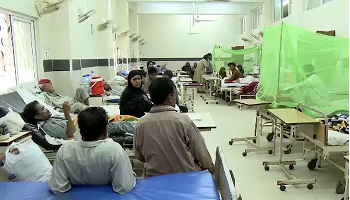پشاور کے دو اسپتالوں میں مزید 371 مریضوں میں ڈینگی وائرس کی تصدیق ہوئی— فوٹو:فائل