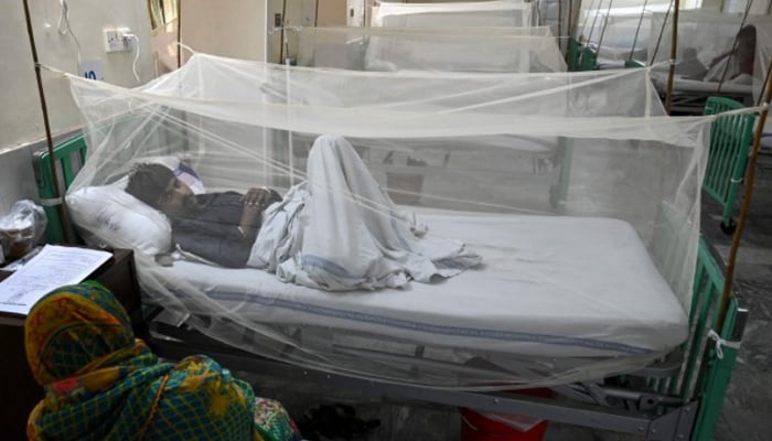 گزشتہ 24 گھنٹوں کے دوران پنجاب میں 226 افراد میں جبکہ پختونخوا میں 135 افراد میں ڈینگی وائرس کی تصدیق ہوئی. فوٹو: فائل