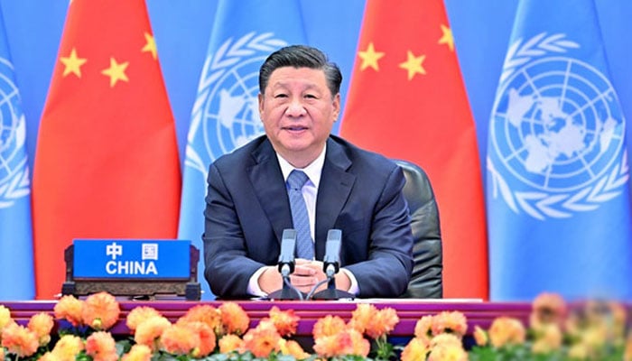 کانفرنس میں چینی صدر کا تحریری پیغام پڑھ کر سنایا گیا،فوٹو: فائل