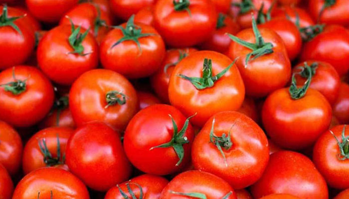 آج کل بازار میں ایرانی ٹماٹر آئے ہوئے ہیں جو خود بھی لال ہیں اور ان کی قیمت پوچھنے والے بھی قیمت سن کر لال ہوجاتے ہیں— فوٹو: فائل