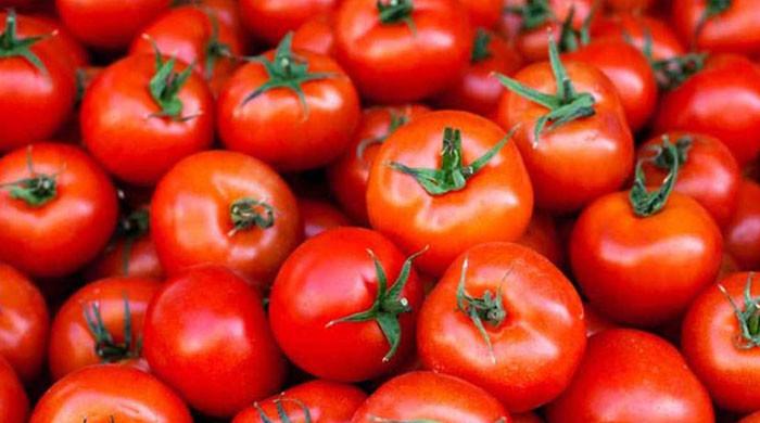 مارکیٹ میں ایرانی ٹماٹر کی انٹری، جس کی قیمت بھی زیادہ اور ذائقہ بھی نہیں