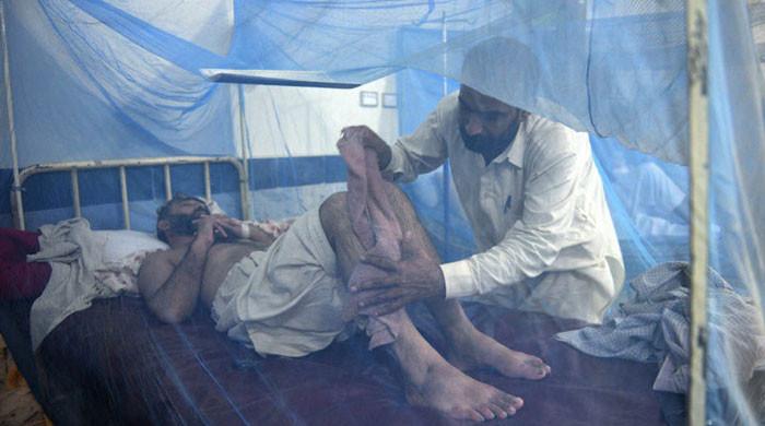 پشاور میں ڈینگی کے مریضوں کی تعداد میں اضافے کیساتھ ادویات بھی مہنگی ہو گئیں