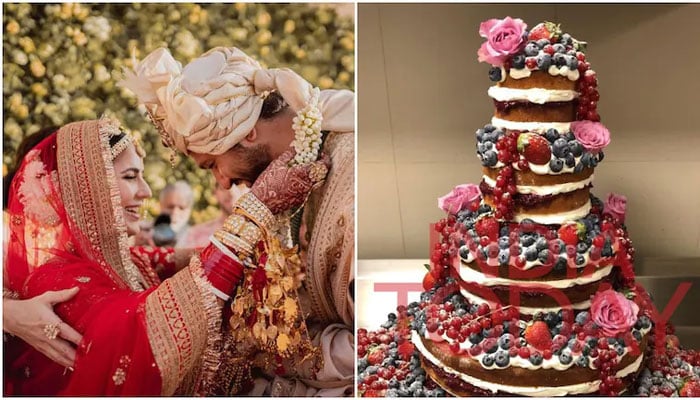 بھارتی میڈیا رپورٹس میں اس کیک کی قیمت 4 لاکھ بھارتی روپے قرار دی گئی تھی: فوٹو سوشل میڈیا