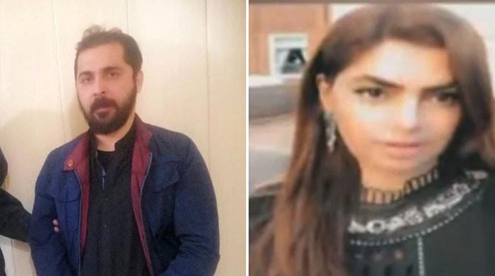 پاکستانی نژاد امریکی خاتون کا قتل، گرفتار سابق شوہر کے تہلکہ خیز  انکشافات