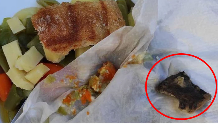 ایک ہسپانوی شخص نے مارکیٹ سے لائے گئے کھانے میں غلطی سے ایک مرے ہوئے چوہے کا سر سبزیوں اور آلو کے ساتھ چبا لیا۔ —فوٹو: فائل