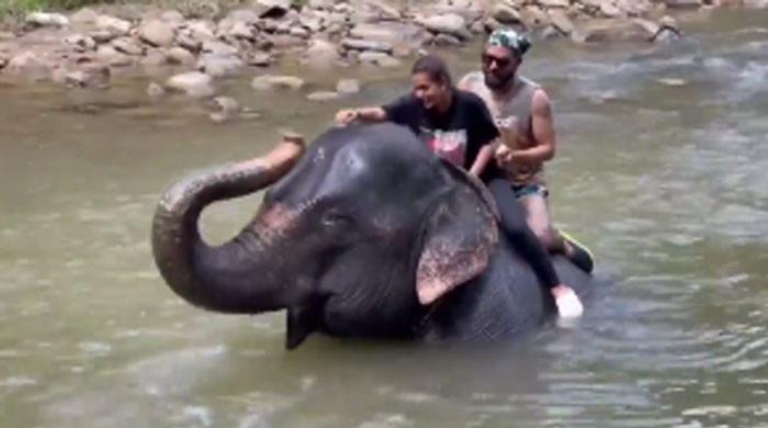 'ہاتھی کی اداکارہ سے معذرت'، اقرا یاسر کی ہاتھی پر بیٹھنے کی ویڈیو وائرل