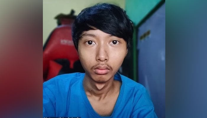 انڈونیشیا سے تعلق رکھنے والے ایک طالب علم نے اپنی سلیفیز نان فنجیبل ٹوکنز (NFTs) میں تبدیل کیں اور اسے آن لائن بیچ کر راتوں رات کروڑ پتی بن گیا۔ —فوٹو: انسٹاگرام