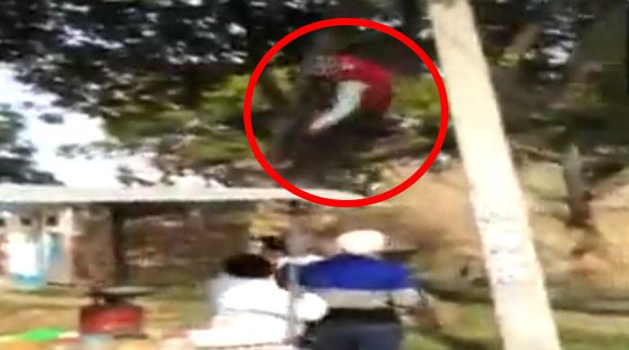 ویڈیو: کورونا ویکسین سے بچنے کیلئے شہری درخت پر چڑھ گیا