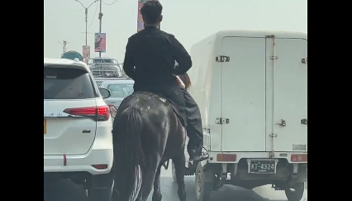 پاکستان میں پیٹرول کی قیمتیں ملکی  تاریخ کی بلند ترین سطح پر پہنچنے کے بعد سوشل میڈیا صارفین کی جانب سے نت نئے مشورے دیے جارہے ہیں/ ویڈیو اسکرین گریب