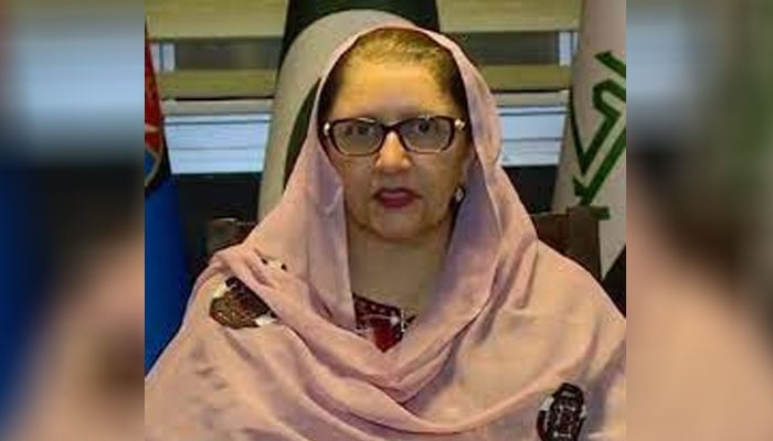 زبیدہ جلال نے کہا کہ ہم انفرادی طور پر فیصلہ کریں گے، بلوچستان عوامی پارٹی ابھی مشاورت کررہی ہے— فوٹو: فائل