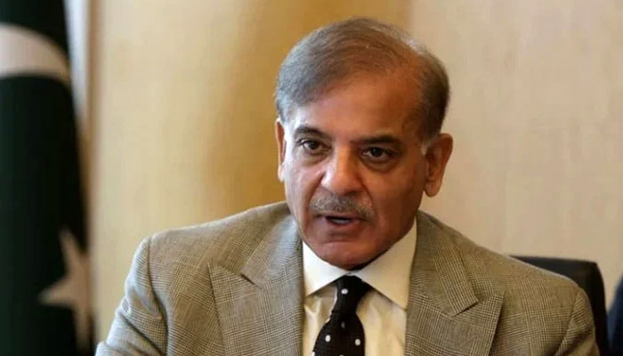 الیکٹورل ریفارمزکی طرف فوری توجہ دیں گے، وقت ضائع نہیں کریں گے، پی ٹی آئی اراکین کے استعفے کی خبریں پہلے بھی چل رہی تھیں، اپوزیشن لیڈر— فوٹو: فائل