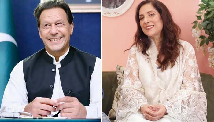 اداکارہ نے تحریک عدم اعتماد سے قبل وزیراعظم عمران خان کی سپورٹ کے لیے پاکستانی عوام سے اپیل کی ہے__فوٹو فائل