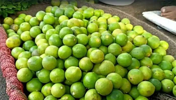 چور 60 کلو لیموں، 40 کلو پیاز اور 38 کلو لہسن لے کر فرار ہوگئے۔__فوٹو: بھارتی میڈیا