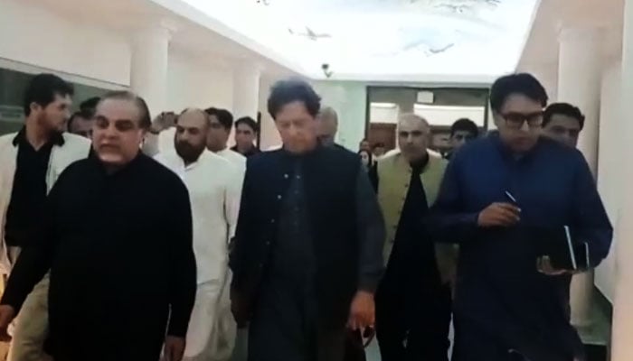 گورنر سندھ عمران اسماعیل اور پی ٹی آئی کے دیگر رہنماؤں نے عمران خان کا ٹرمینل ون پر استقبال کیا— اسکرین گریب