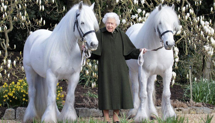 یہ تصویر ونڈسر کیسل میں لی گئی تھی، جہاں ملکہ اب زیادہ تر رہتی ہے۔—فوٹو: بی بی سی