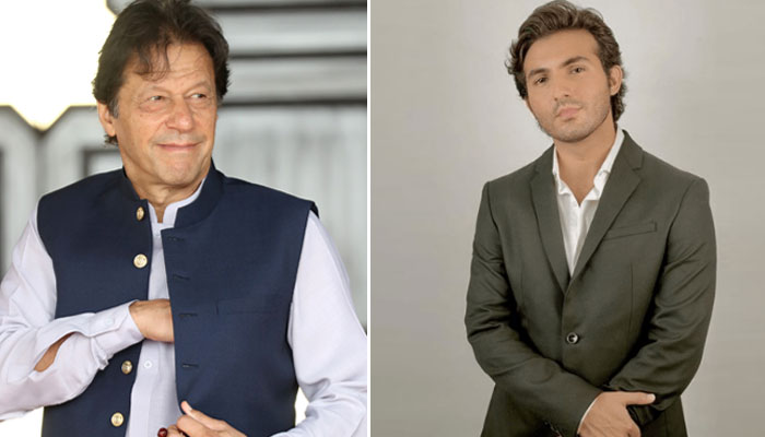 اگر میرے والد نے میرے پیٹ میں حلال رزق ڈالا ہے تو ایسا ہو نہیں سکتا کہ میں عمران خان کو فالو نہ کروں: اداکار کی شو میں گفتگو/ فائل فوٹو