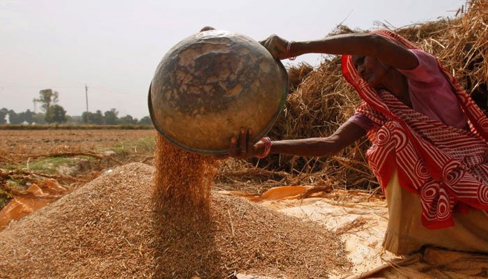 بھارت میں ایک ٹن گندم کی قیمت 25 ہزار روپے تک پہنچ گئی، پابندی سے ایشیا اورافریقا کے صارفین متاثرہوسکتے ہیں: خبر ایجنسی— فوٹو: فائل