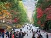 جاپان کا 2020 کے بعد پہلی بار سیاحوں کو  داخلے کی اجازت دینے کا فیصلہ