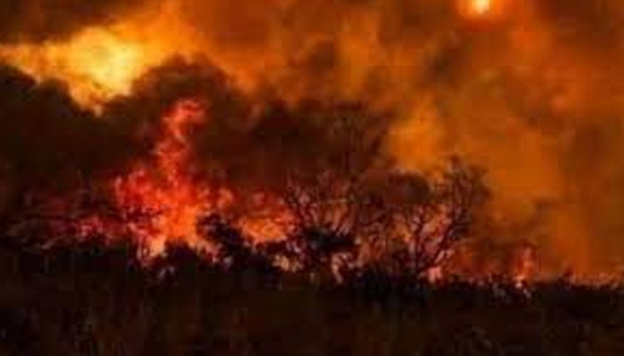 بلوچستان کے ضلع شیرانی کےعلاقے میں چلغوزے کے جنگلات میں لگی آگ مزید پھیلنے لگی—فوٹو: فائل