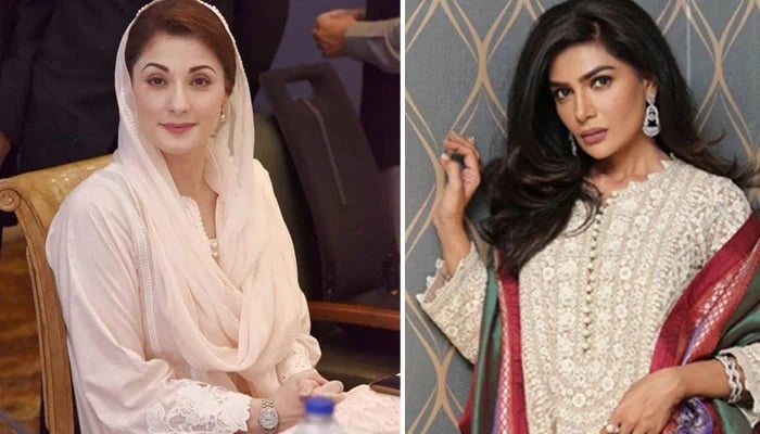 صدر مریم نواز نے اداکارہ عفت عمر کو اپنے آئندہ ہونے والے اوکاڑہ کے جلسے میں شرکت کی دعوت دے دی۔—فوٹو: فائل